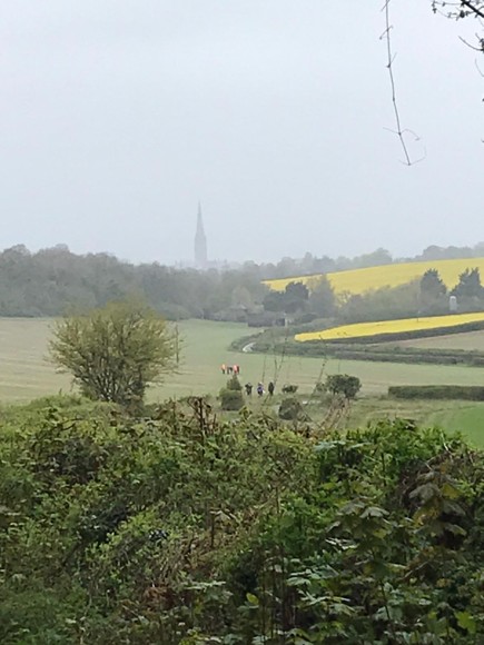 Dofe cathedral view