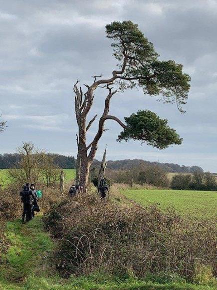 Bronze award practice walk